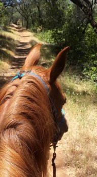 10391034_854747547176_5927476072547712081_n