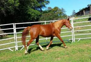 11086313_839208447656_1908108140_o