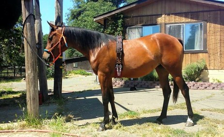 11212784_856747638976_293390555133064685_n