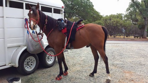 11350684_855673242076_6299572933292346090_n