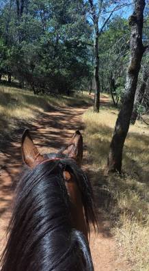 18015_858078591736_5374605105153183844_n