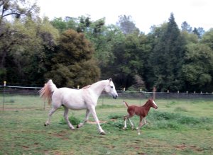 218795_562022630256_4321358_o