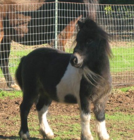 75654_544193969036_4273172_n