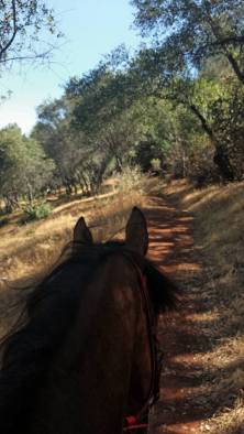 10390982_862613369006_1118489860322878262_n