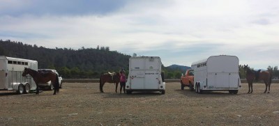 10955635_860626505696_5325373079838542435_o