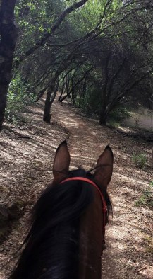 11024768_860626800106_1868806898476556209_n