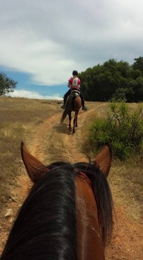 11052876_860626994716_7435494941598349772_n