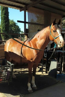 11055388_865284286466_17518969018994857_n