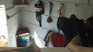 11058277_863438395646_7888736705998032408_n