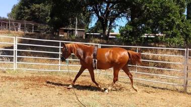 11229549_865782203636_1416963555337925324_n