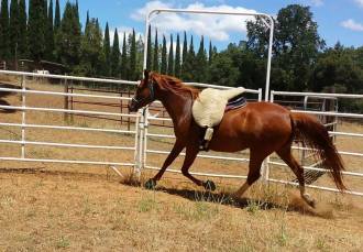 11334277_860820197536_4014680136662143561_o