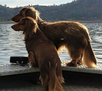 11357153_1104543402892813_488848621301154791_o