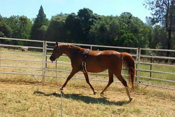 11391272_865782278486_7059705653196221634_n