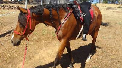 11412443_862613428886_3082471975409071735_n