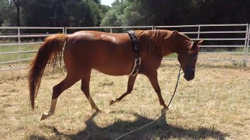 11666028_865782248546_2472457265110846699_n