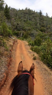 1525376_860626650406_6119350884572738209_n