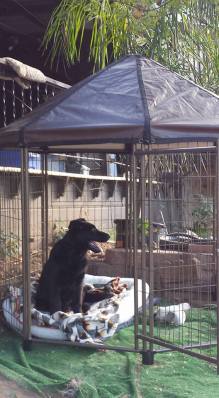 11015363_866572854166_9015649759997622984_n