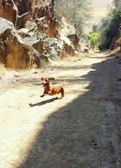 11040860_870545497956_4736529918072701132_n