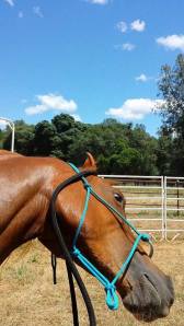 11209541_860822552816_672276585666390454_n