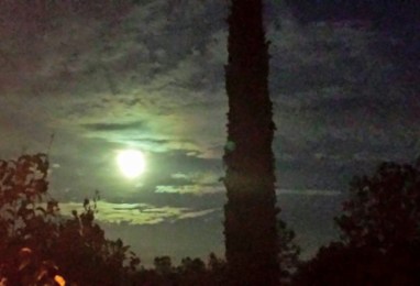 11659255_867274218626_3047638020691544350_n