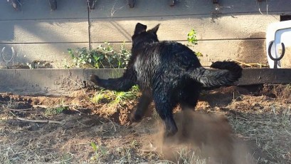 11665786_866884883856_3926047912021726874_n