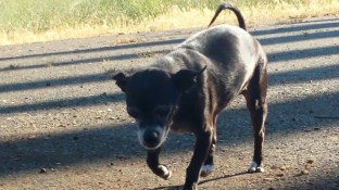 11692480_866885133356_3176227556611908884_n