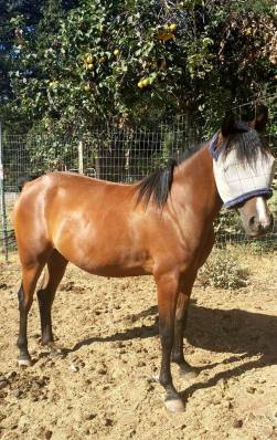 11694261_871879295016_1689929199_n