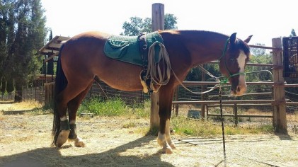 11694995_870104616486_8987710423901112621_n