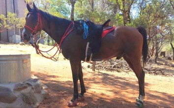 11695006_867951466416_4710677968419846990_nn