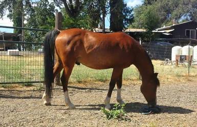 11705205_868140742106_1565926890931871058_n