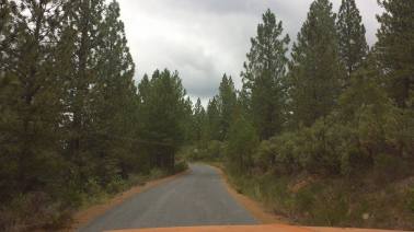 11721845_869335647506_1000973599_n