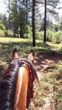 11736905_869335712376_1650540404_n