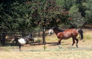 11742658_872357801086_1408911232981423242_n