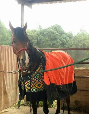 11748581_869335632536_916460847_n