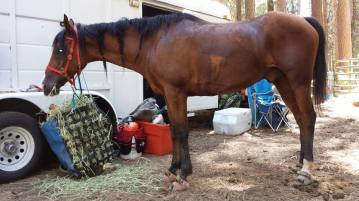 11748744_869335717366_1973152663_n