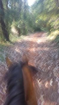 11749379_869335692416_1451878219_n