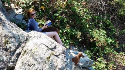 11755854_1119152484765238_4670416397472420741_n