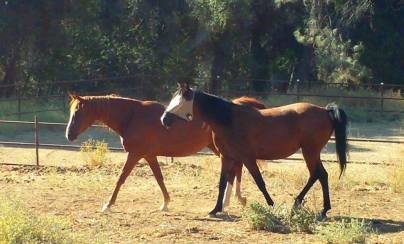 11756431_871879429746_2134656717_n