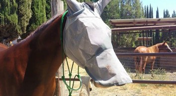 11760156_870121208236_7890239007152346073_n