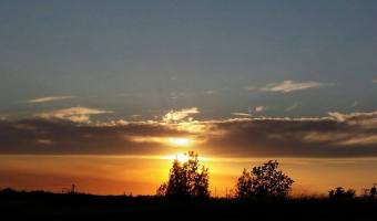 11778024_871879300006_1044235967_n