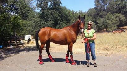 11791722_872345810116_1391466332_n