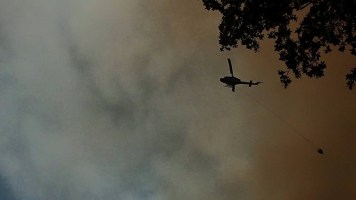 11822766_873090762226_8034531790202289772_n