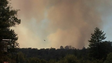 11825019_873090742266_2373200658541485438_n