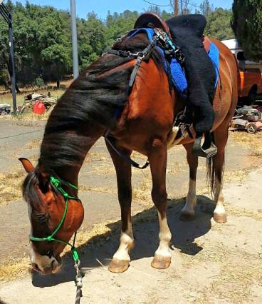 20108_869818629606_1870796077961787923_n