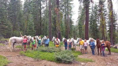 1-11707862_873492302536_7081191848380362739_n