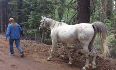 1-11721937_873974596016_1719258177_n