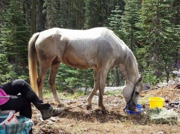 1-11798085_873972430356_787962543_n