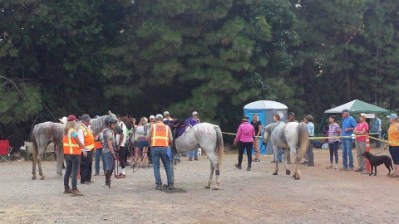 1-11798466_873972405406_688519793_n