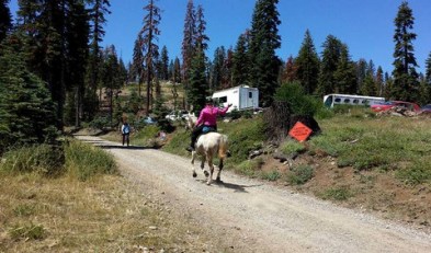 1-11800180_873671348726_7684491412485746690_n