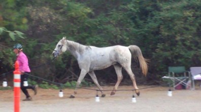 1-11805705_873972175866_1862590343_n